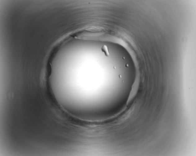 X0000088710388200706212006