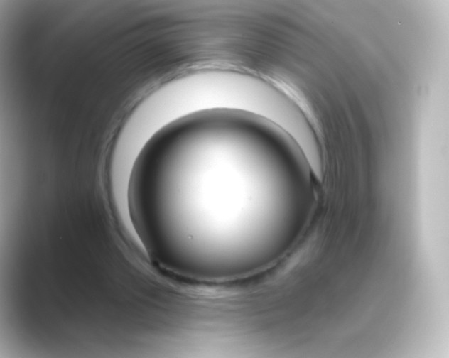 X0000088710389200706212006