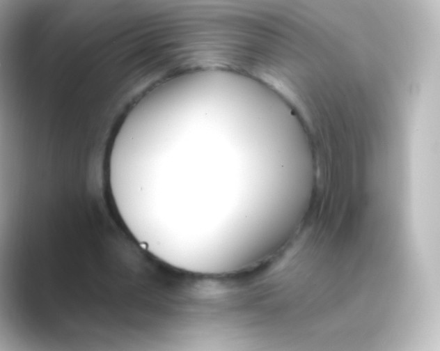 X0000088710390200706212006