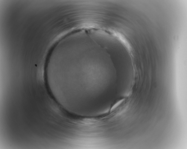 X0000088710391200706212006