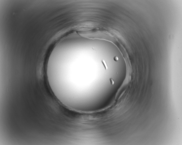 X0000088710392200706212006