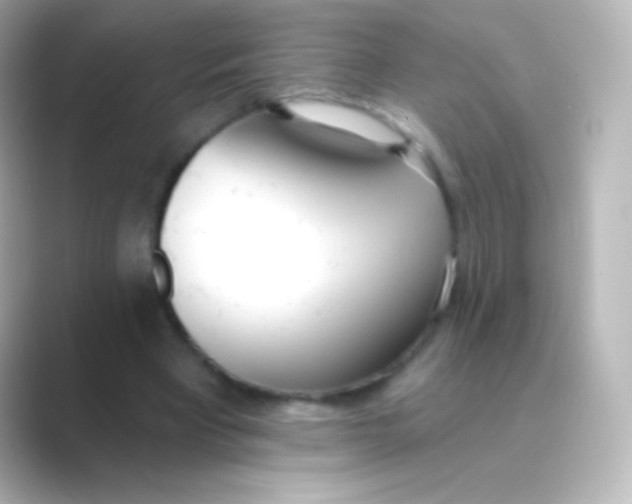 X0000088710393200706212006