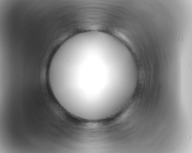 X0000088710394200706212006