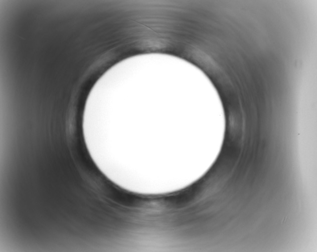 X0000088710396200706212006