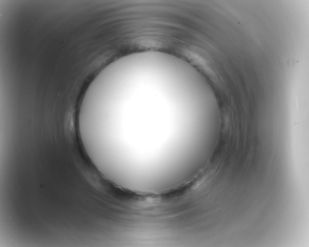 X0000088710398200706212006