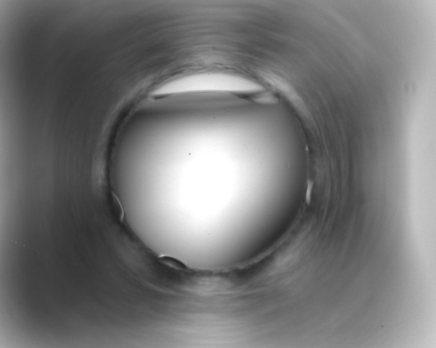 X0000088710399200706212006