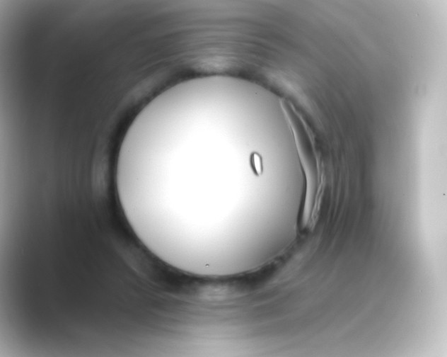 X0000088710400200706212006