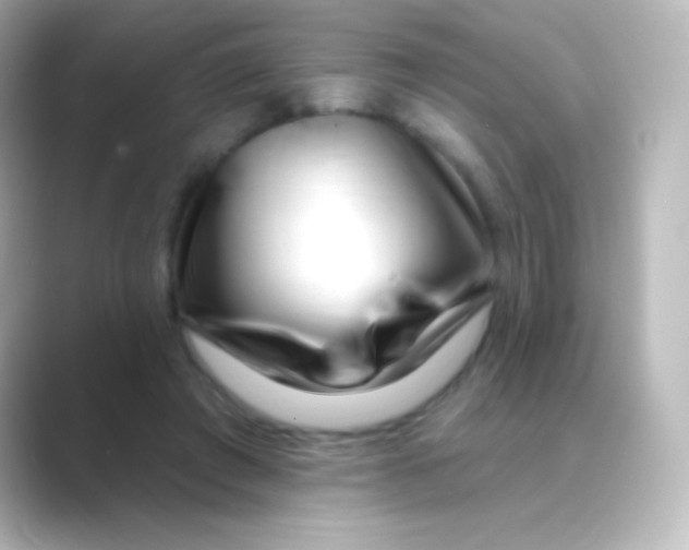 X0000088710401200706212006