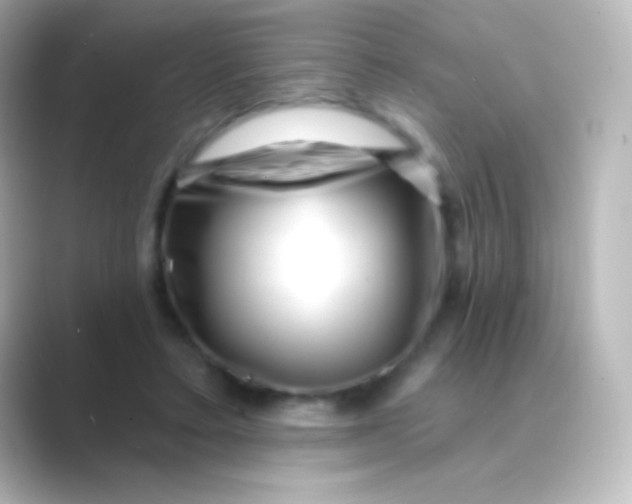 X0000088710403200706212006