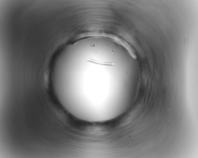 X0000088710404200706212006