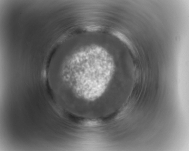 X0000088710405200706212006