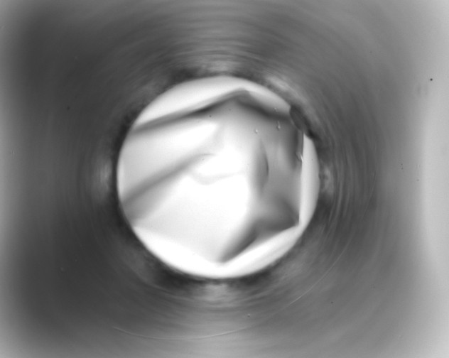 X0000088710406200706212006