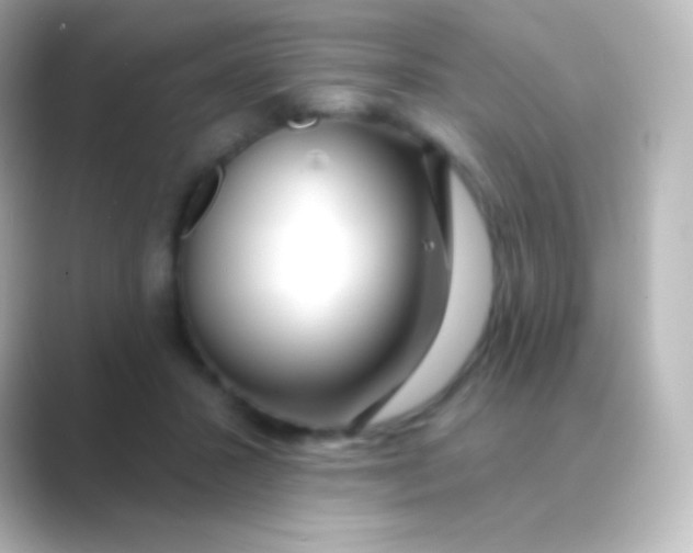 X0000088710407200706212006