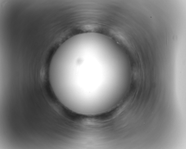 X0000088710408200706212006