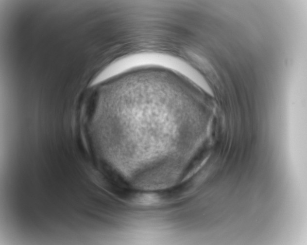 X0000088710409200706212006