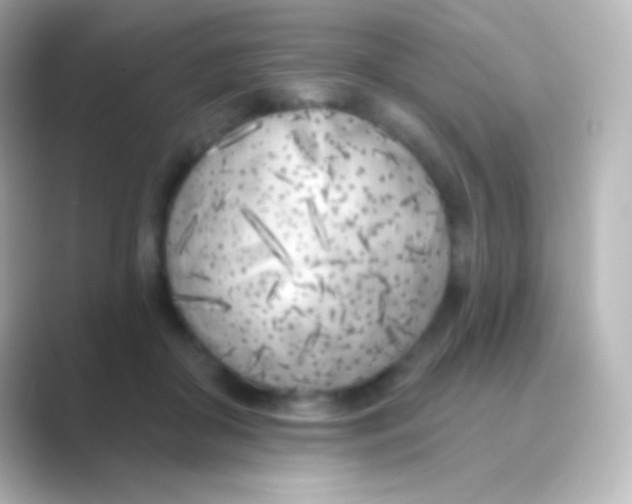 X0000088710410200706212006