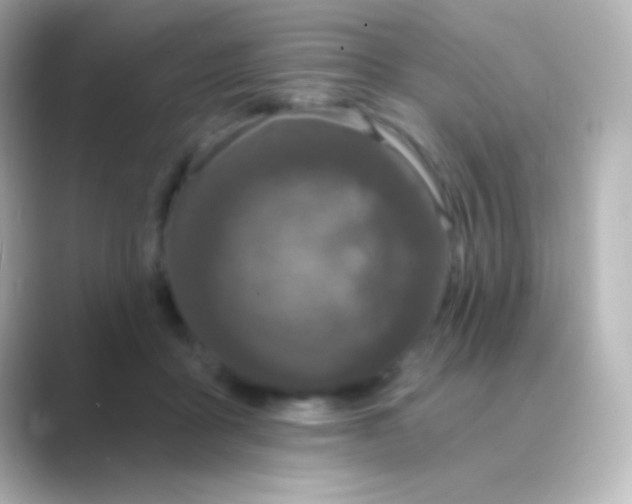 X0000088710411200706212006