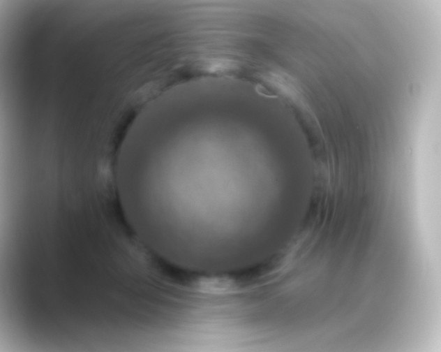 X0000088710415200706212006