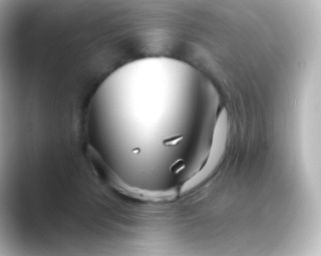 X0000088710416200706212006