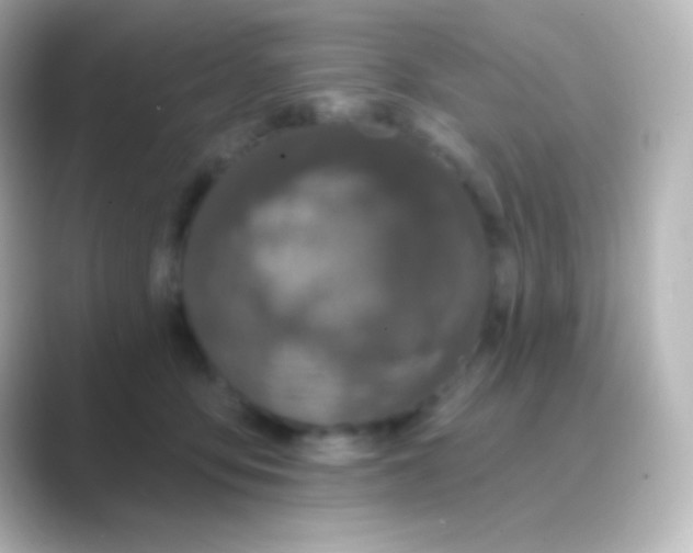 X0000088710419200706212006