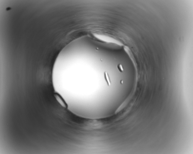 X0000088710421200706212006