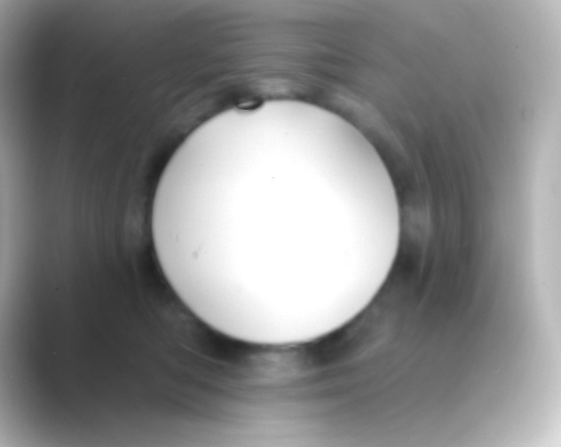 X0000088710422200706212006