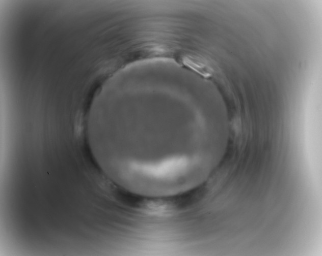 X0000088710423200706212006