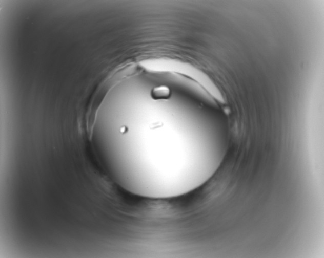 X0000088710424200706212006