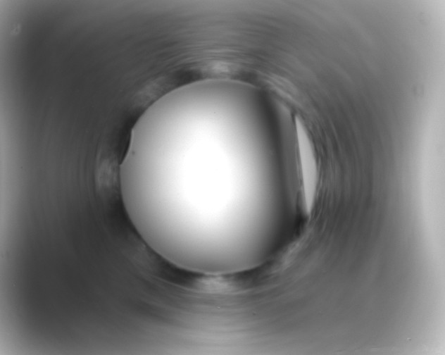 X0000088710425200706212006