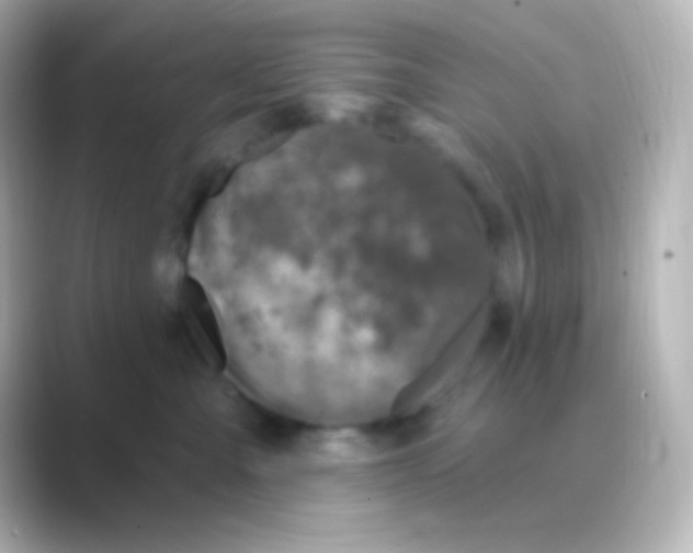 X0000088710427200706212006