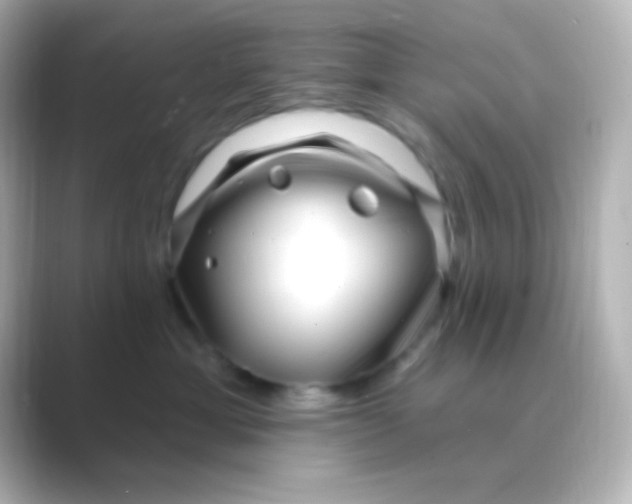 X0000088710429200706212006