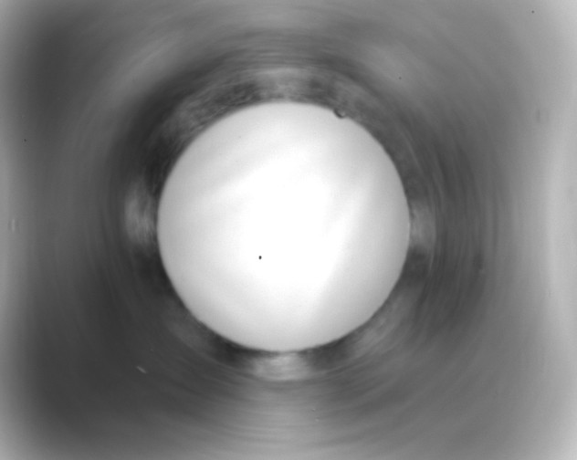 X0000088710431200706212006