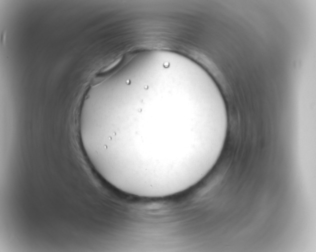 X0000088710433200706212005