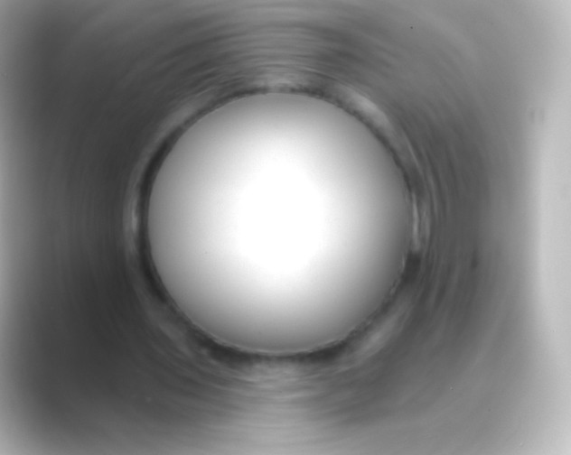 X0000088710435200706212005