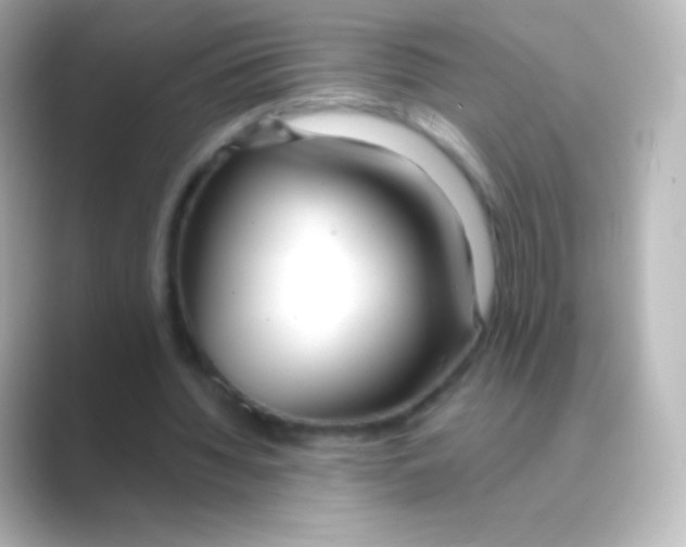 X0000088710436200706212005