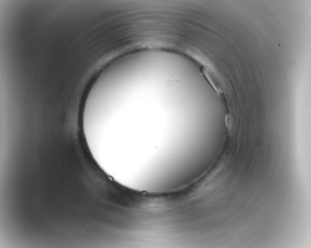 X0000088710438200706212005