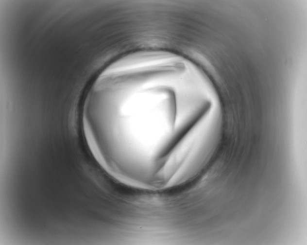 X0000088710439200706212005