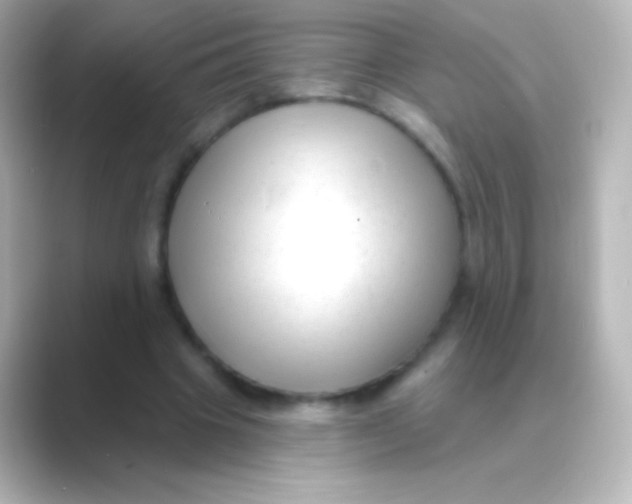 X0000088710441200706212005