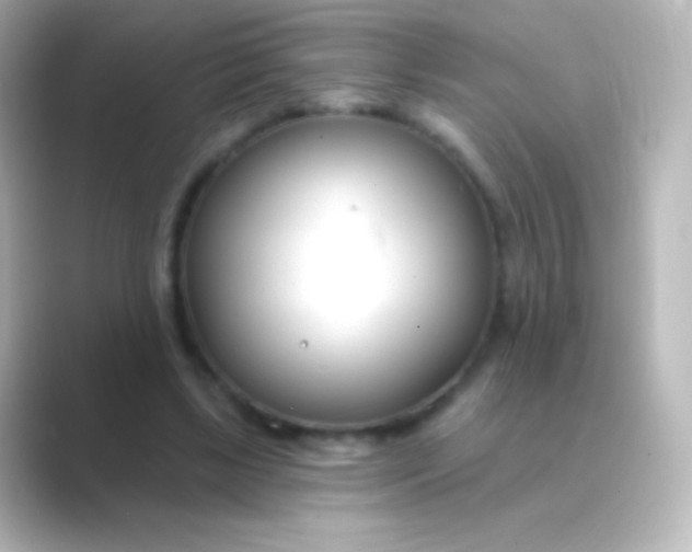 X0000088710443200706212005