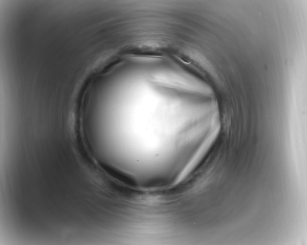 X0000088710444200706212005