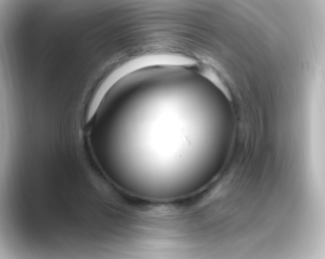 X0000088710446200706212006