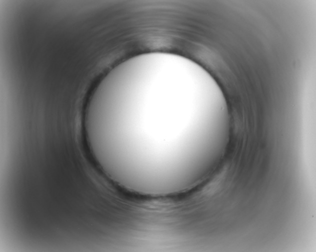 X0000088710447200706212006