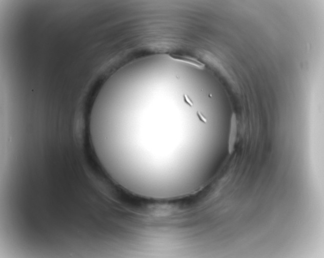 X0000088710448200706212006