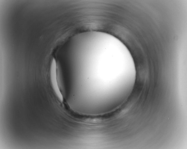 X0000088710450200706212006