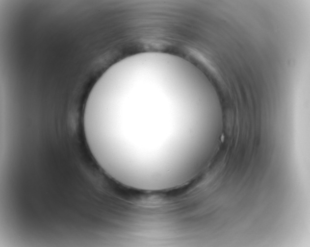 X0000088710451200706212006