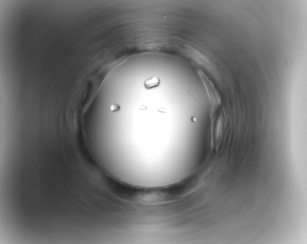 X0000088710452200706212006