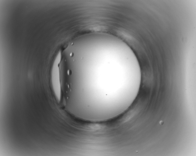 X0000088710453200706212006