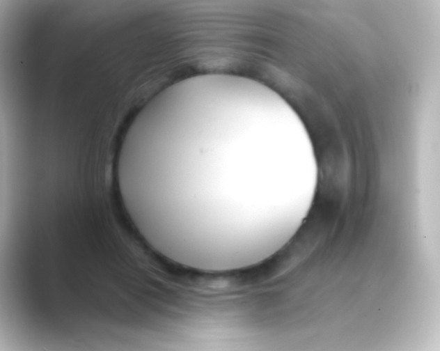 X0000088710454200706212006