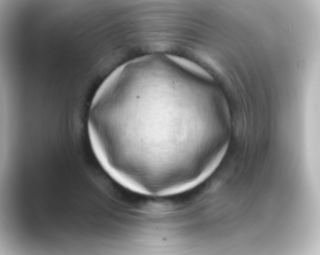 X0000088710455200706212006