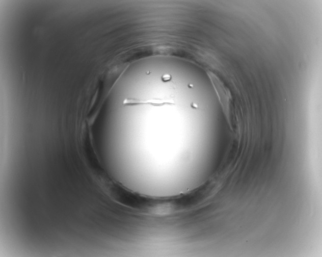 X0000088710456200706212006